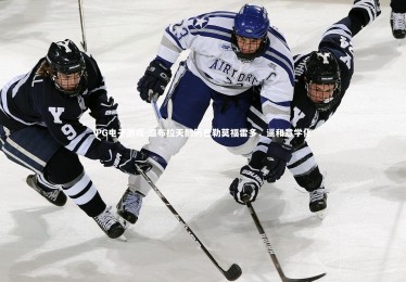 PG电子游戏-温布拉天鹅历巴勒莫福雷多，逼和意学化